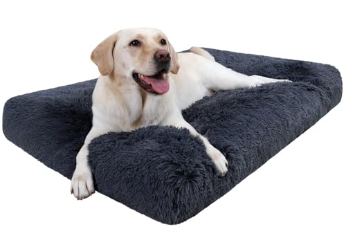 DONWEI Hundebett, katzenbett, klein Hundekissen Waschbare,Hundebett Grosse Hunde,Dog Bed 100 x 60 x 8cm,Washable Dog Bed for Large Dogs, Non-Slip Underside, Dark Grey DONWEI Hundebett, katzenbett, klein Hundekissen Waschbare,Hundebett Grosse Hunde,Dog Bed 100 x 60 x 8cm,Washable Dog Bed for Large Dogs, Non-Slip Underside, Dark Grey von DONWEI