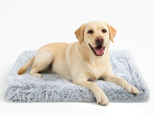 DONWEI Hundebett, katzenbett, klein Hundekissen Waschbare,Hundebett Grosse Hunde,Dog Bed 100 x 60 x 8cm,Washable Dog Bed for Large Dogs, Non-Slip Underside,Light Grey DONWEI Hundebett, katzenbett, klein Hundekissen Waschbare,Hundebett Grosse Hunde,Dog Bed 100 x 60 x 8cm,Washable Dog Bed for Large Dogs, Non-Slip Underside,Light Grey von DONWEI