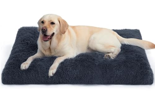 DONWEI Hundebett, katzenbett, klein Hundekissen Waschbare,Hundebett Grosse Hunde,Dog Bed 75 x 50 x 6cm,Washable Dog Bed for Large Dogs, Non-Slip Underside,Dark Grey DONWEI Hundebett, katzenbett, klein Hundekissen Waschbare,Hundebett Grosse Hunde,Dog Bed 75 x 50 x 6cm,Washable Dog Bed for Large Dogs, Non-Slip Underside,Dark Grey von DONWEI
