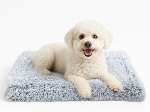 DONWEI Hundebett, katzenbett,Dog Bed for Medium and Small Dogs 50 x 50 x 4cm,Washable Dog Bed for Small Dogs/Cat, Non-Slip Underside, Light Grey DONWEI Hundebett, katzenbett,Dog Bed for Medium and Small Dogs 50 x 50 x 4cm,Washable Dog Bed for Small Dogs/Cat, Non-Slip Underside, Light Grey von DONWEI