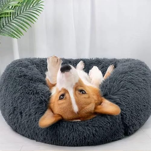 Katzenbett Hundebett,Kuscheliges und Weiches Flausching Hundebett und Katzenbett,Kompressionswiderstand und Waschbar Donut Haustierbett,für Kleine Bis Mittelgro ß e Hunde und Katzen(70CM,Dunkelgrau) Katzenbett Hundebett,Kuscheliges und Weiches Flausching Hundebett und Katzenbett,Kompressionswiderstand und Waschbar Donut Haustierbett,für Kleine Bis Mittelgro ß e Hunde und Katzen(70CM,Dunkelgrau) von DONWEI
