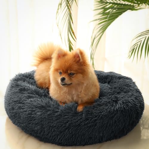 Katzenbett Hundebett,Kuscheliges und Weiches Flausching Hundebett und Katzenbett,Kompressionswiderstand und Waschbar Donut Haustierbett,für Kleine Bis Mittelgro ß e Hunde und Katzen(60CM,Dunkelgrau) Katzenbett Hundebett,Kuscheliges und Weiches Flausching Hundebett und Katzenbett,Kompressionswiderstand und Waschbar Donut Haustierbett,für Kleine Bis Mittelgro ß e Hunde und Katzen(60CM,Dunkelgrau) von DONWEI