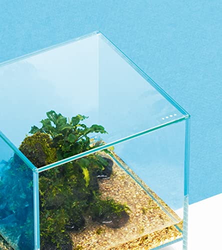 DOOA - Neo Glass Cover - WabiKusa, Größe:15x15 cm von DOOA