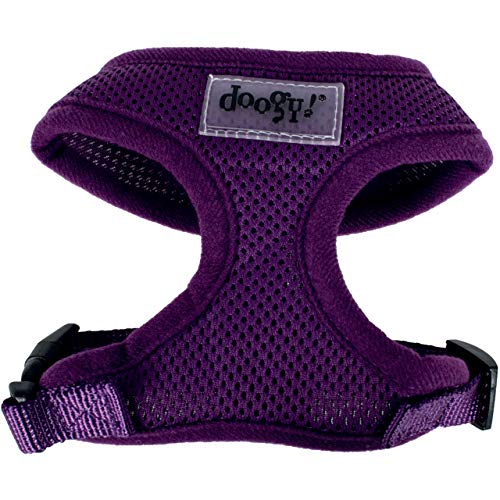DOOGY CLASSIC Air-Mesh-Geschirr, Violett, TXS DOOGY CLASSIC Air-Mesh-Geschirr, Violett, TXS von DOOGY CLASSIC