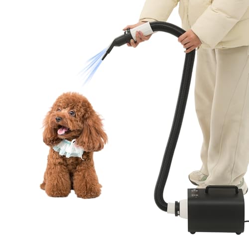 DOPBENT Hundefön Hundetrockner, 2100W hundefön Einstellbare Geschwindigkeit, Pet Dryer Haustier, Hundepflege Trockner Gebläse mit 3 Düsen und Schlauch (schwarz) von DOPBENT