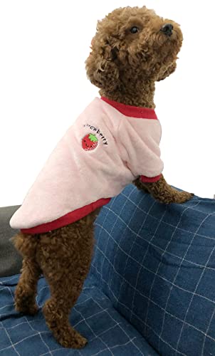 Hundekleidung für Welpen, Winter, warm, Flanell, Samt, Haustiere, Katzen, niedliches ObstFleece, Teddy, Bichon, Zwergspitz, kleiner Hund, ideales Geschenk für Haustier zu Weihnachten (XXLarge, von DOPI