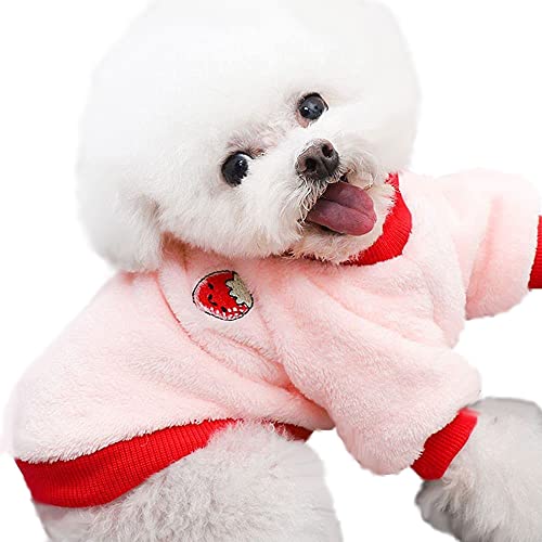 Hundekleidung für Welpen, Winter, warm, Flanell, Samt, Haustiere, Katzen, niedliches ObstFleece, Teddy, Bichon, Zwergspitz, kleiner Hund, ideales Geschenk für Haustiere zu Weihnachten (XLarge, von DOPI