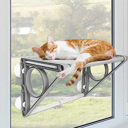 2-In-1-Sitzstange Und Tunnel Für Katzenfenster, Mittelgroße Katzenhängematte, Perfekt Für Katzen Bis Zu 40 Pfund. Sichere Katzenregale Mit Platz,S 2-In-1-Sitzstange Und Tunnel Für Katzenfenster, Mittelgroße Katzenhängematte, Perfekt Für Katzen Bis Zu 40 Pfund. Sichere Katzenregale Mit Platz,S von DOPORA