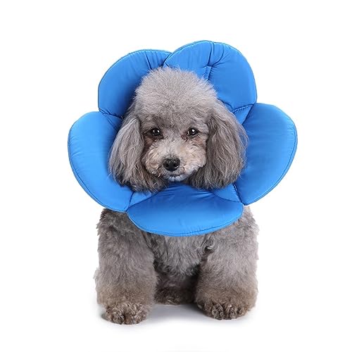 Haustier-Schutzhalsband, Atmungsaktiv, Weich, Schutzhülle, Anti-Leck-Katze, Hund, Gesundheit, Anti-Biss-Elizabeth-Halsband,A,L Haustier-Schutzhalsband, Atmungsaktiv, Weich, Schutzhülle, Anti-Leck-Katze, Hund, Gesundheit, Anti-Biss-Elizabeth-Halsband,A,L von DOPORA