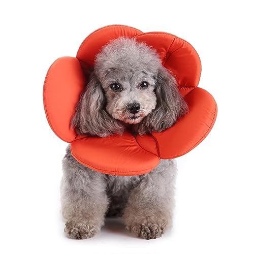 Haustier-Schutzhalsband, Atmungsaktiv, Weich, Schutzhülle, Anti-Leck-Katze, Hund, Gesundheit, Anti-Biss-Elizabeth-Halsband,E,M Haustier-Schutzhalsband, Atmungsaktiv, Weich, Schutzhülle, Anti-Leck-Katze, Hund, Gesundheit, Anti-Biss-Elizabeth-Halsband,E,M von DOPORA