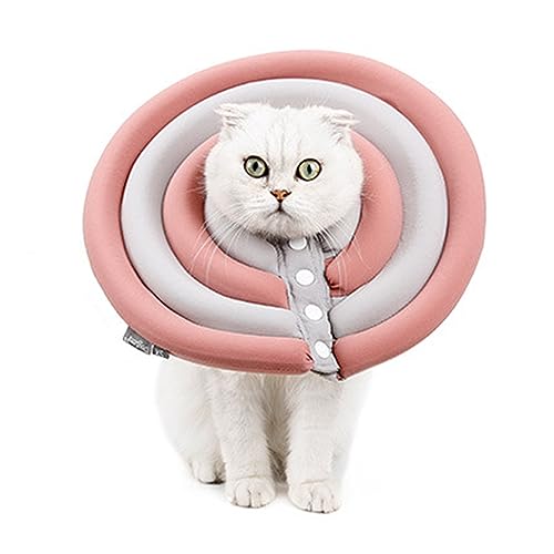 Haustierhalsband, Hund Elizabeth Chirurgisches Erholungshalsband, Leichte Schildabdeckung, Anti-Biss-Halsschlaufe, Fellpflegehalsband Für Hunde Und Katzen,A,S Haustierhalsband, Hund Elizabeth Chirurgisches Erholungshalsband, Leichte Schildabdeckung, Anti-Biss-Halsschlaufe, Fellpflegehalsband Für Hunde Und Katzen,A,S von DOPORA