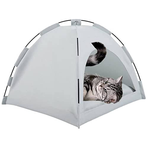 Hundezelt Höhle | Faltbare Katzenhäuser Für Katzen Im Innenbereich, Höhlenbett, Katzenhaus, Katzenzelt Mit Halbgeschlossenen, Weichen Und Selbstwärmenden Kätzchenbetten, Katzenbetten,Grün,S Hundezelt Höhle | Faltbare Katzenhäuser Für Katzen Im Innenbereich, Höhlenbett, Katzenhaus, Katzenzelt Mit Halbgeschlossenen, Weichen Und Selbstwärmenden Kätzchenbetten, Katzenbetten,Grün,S von DOPORA