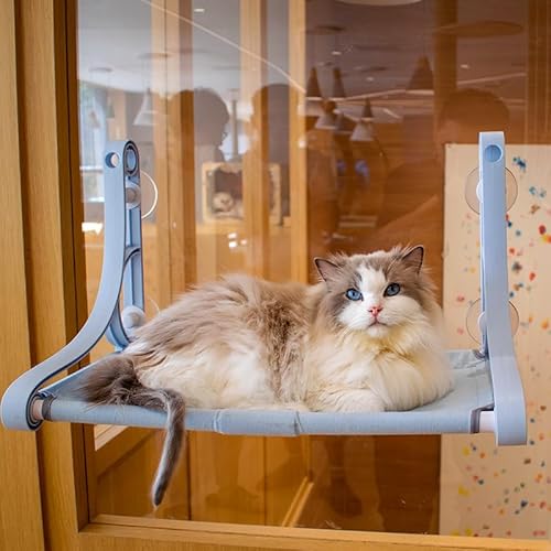 Katzen-Fenster-Hängematte, Katzen-Fenster-Sitzstange, Große Kabellose Katzen-Fensterbetten, Sicherheits-Katzenregale Zum Sonnenbaden, Nickerchen Mit Blick Auf,Blau Katzen-Fenster-Hängematte, Katzen-Fenster-Sitzstange, Große Kabellose Katzen-Fensterbetten, Sicherheits-Katzenregale Zum Sonnenbaden, Nickerchen Mit Blick Auf,Blau von DOPORA