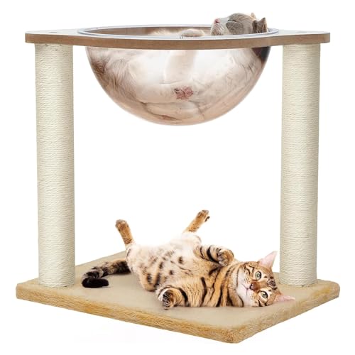 Katzen-Hängemattenbett Mit Natürlichem Sisal-Kratzbaum Für Den Innenbereich, Moderner Kratzbaumturm Mit Transparenter Katzenraumkapsel Für Kätzchen,B Katzen-Hängemattenbett Mit Natürlichem Sisal-Kratzbaum Für Den Innenbereich, Moderner Kratzbaumturm Mit Transparenter Katzenraumkapsel Für Kätzchen,B von DOPORA