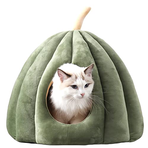 Katzenbett, Süßes Katzenhaus Im Kürbisstil, Katzenhöhle, Katzenbetten Für Innenkatzen, Hundebetthütte,Grün,M Katzenbett, Süßes Katzenhaus Im Kürbisstil, Katzenhöhle, Katzenbetten Für Innenkatzen, Hundebetthütte,Grün,M von DOPORA