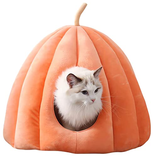 Katzenbett, Süßes Katzenhaus Im Kürbisstil, Katzenhöhle, Katzenbetten Für Innenkatzen, Hundebetthütte,Orange,M Katzenbett, Süßes Katzenhaus Im Kürbisstil, Katzenhöhle, Katzenbetten Für Innenkatzen, Hundebetthütte,Orange,M von DOPORA