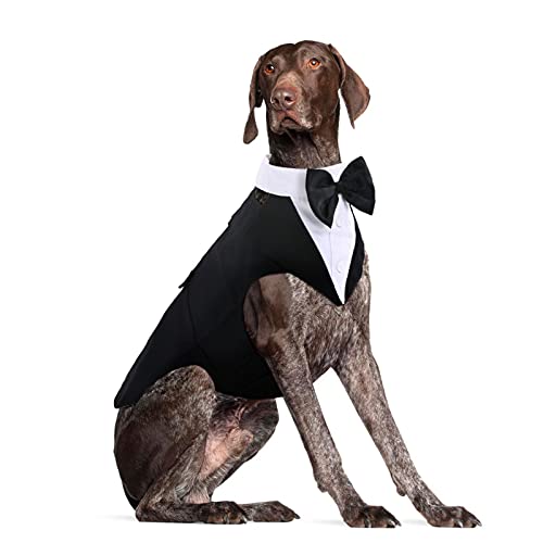 DORA BRIDAL Formal Hund Smoking für mittelgroße und große Hunde, Labrador Haustier Hochzeit Party Anzug Outfit mit abnehmbarer Fliege Kragen Halstuch Bandana Dressup Halloween Kostüme hübsch elegant von DORA BRIDAL