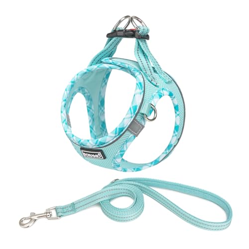 DORAMIO Hundegeschirr Kleine Hunde mit Leine, Step-in Geschirr Reflektierend Atmungsaktiv Brustgeschirr Anti Zug Sicherheitsgeschirr Katzengeschirr für Kleine Hunde, Katzen (Hellblau, M) von DORAMIO