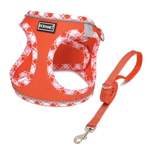 DORAMIO Hundegeschirr Kleine Hunde mit Leine, Step-in Geschirr Reflektierend Atmungsaktiv Brustgeschirr Anti Zug Sicherheitsgeschirr Katzengeschirr für Kleine Hunde, Katzen (Mandarine, M) von DORAMIO