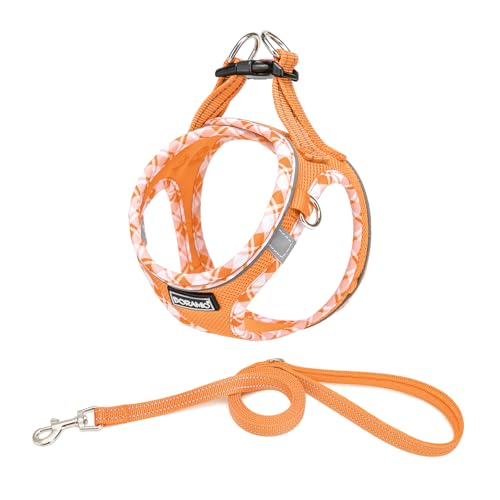 DORAMIO Hundegeschirr Kleine Hunde mit Leine, Step-in Geschirr Reflektierend Atmungsaktiv Brustgeschirr Anti Zug Sicherheitsgeschirr Katzengeschirr für Kleine Hunde, Katzen (Orange, M) von DORAMIO