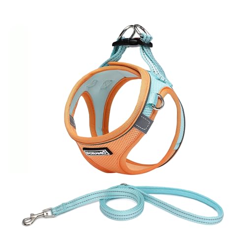 DORAMIO Hundegeschirr Kleine Hunde mit Leine, Step-in Geschirr Reflektierend Atmungsaktiv Brustgeschirr Anti Zug Sicherheitsgeschirr Katzengeschirr für Kleine Hunde, Katzen (XXS, Orange Blau) von DORAMIO