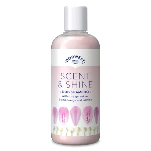 DORWEST Scent & Shine Hundeshampoo 250ml, All-Natural Pet Shampoo - Feuchtigkeitsspendende, beruhigende & feuchtigkeitsspendende Formel mit Aloe Vera & Jasmin, Creme, SS250 DORWEST Scent & Shine Hundeshampoo 250ml, All-Natural Pet Shampoo - Feuchtigkeitsspendende, beruhigende & feuchtigkeitsspendende Formel mit Aloe Vera & Jasmin, Creme, SS250 von DORWEST