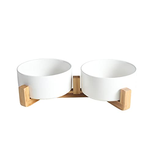 CeramicDog Schüssel mit Ständer Dessertschale Keramik Salatschale Obstschale mit Ständer Keramik Katzennapf mit Ständer Catfeeder Obstschale mit Ständer von DOSERTY