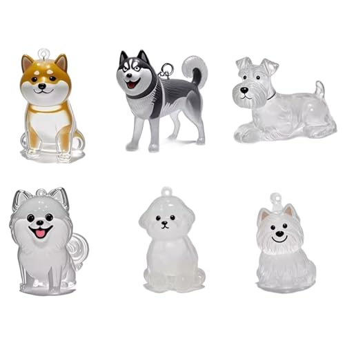DOSERTY 1/6 x Haustier-Schlüsselanhänger, transparent, Andenken, Hundefellhalter, Tierhaar-Sammler, Anhänger für trauernde Besitzer, Erinnerungen, Aufbewahrungsanhänger DOSERTY 1/6 x Haustier-Schlüsselanhänger, transparent, Andenken, Hundefellhalter, Tierhaar-Sammler, Anhänger für trauernde Besitzer, Erinnerungen, Aufbewahrungsanhänger von DOSERTY