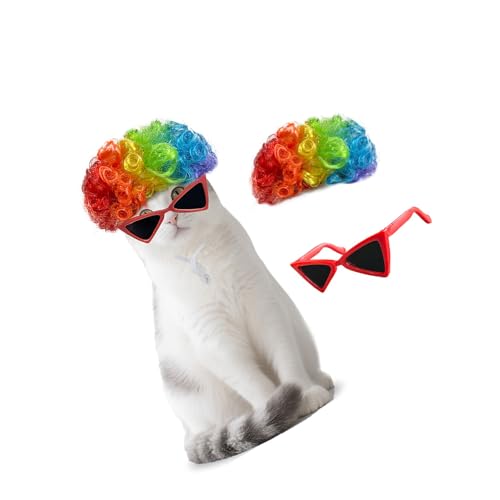 Haustier-Haarteil mit Brille für Hunde und Katzen, Kostüm-Zubehör, Urlaub, Alltag, Cosplay, buntes Haustier-Haarteil Haustier-Haarteil mit Brille für Hunde und Katzen, Kostüm-Zubehör, Urlaub, Alltag, Cosplay, buntes Haustier-Haarteil von DOSERTY
