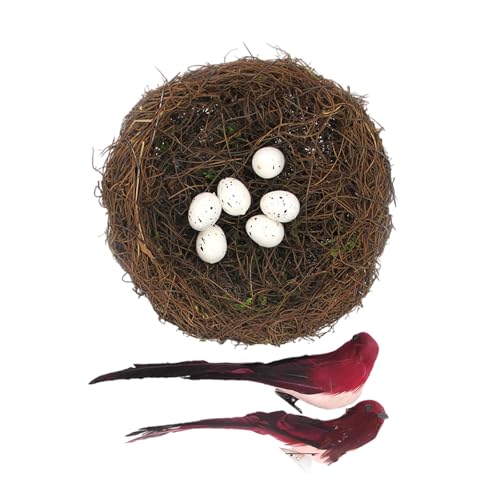Vogelhaus-Korb-Set aus natürlichem Rattan, inklusive gefiederten Akzenten mit künstlichen Eiern, für den Frühling, Zuhause, Bühnenbildung, Fotografie-Requisiten, Oster-Foto-Requisiten Vogelhaus-Korb-Set aus natürlichem Rattan, inklusive gefiederten Akzenten mit künstlichen Eiern, für den Frühling, Zuhause, Bühnenbildung, Fotografie-Requisiten, Oster-Foto-Requisiten von DOSERTY