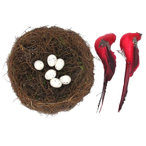 Vogelhaus-Korb-Set aus natürlichem Rattan, inklusive gefiederten Akzenten mit künstlichen Eiern, für den Frühling, Zuhause, Bühnenbildung, Fotografie-Requisiten, Oster-Foto-Requisiten Vogelhaus-Korb-Set aus natürlichem Rattan, inklusive gefiederten Akzenten mit künstlichen Eiern, für den Frühling, Zuhause, Bühnenbildung, Fotografie-Requisiten, Oster-Foto-Requisiten von DOSERTY