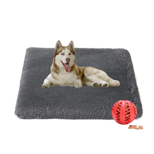 DOTBUY-SHOP Hundebet Katzenbett Rechteckig, Hundekissen Grosse Hunde Kissen, Plüsch-Hundekorb Hundebett Waschbar, für Groß Hunde, Katzen und Winter und Herbst (120X75cm,Anthrazit) von DOTBUY-SHOP