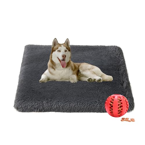 DOTBUY-SHOP Hundebet Katzenbett Rechteckig, Hundekissen Grosse Hunde Kissen, Plüsch-Hundekorb Hundebett Waschbar, für Groß Hunde, Katzen und Winter und Herbst (120X75cm,Dunkelgrau) von DOTBUY-SHOP