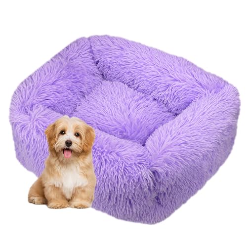 DOTBUY-SHOP Hundebet Rechteck Macaron Farbe Katzenbett, Hundekissen Grosse Hunde Kissen, Plüsch-Hundekorb Hundebett Waschbar, für Welpe, Katzen, Kätzchen, Haustiere (L,Lila) von DOTBUY-SHOP