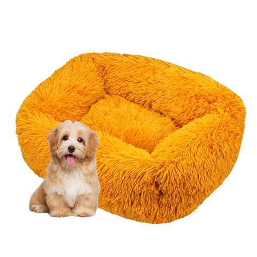 DOTBUY-SHOP Hundebet Rechteck Macaron Farbe Katzenbett, Hundekissen Grosse Hunde Kissen, Plüsch-Hundekorb Hundebett Waschbar, für Welpe, Katzen, Kätzchen, Haustiere (M,Ingwer) von DOTBUY-SHOP