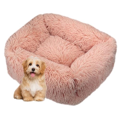 DOTBUY-SHOP Hundebet Rechteck Macaron Farbe Katzenbett, Hundekissen Grosse Hunde Kissen, Plüsch-Hundekorb Hundebett Waschbar, für Welpe, Katzen, Kätzchen, Haustiere (XS,Grapefruit Rosa) von DOTBUY-SHOP