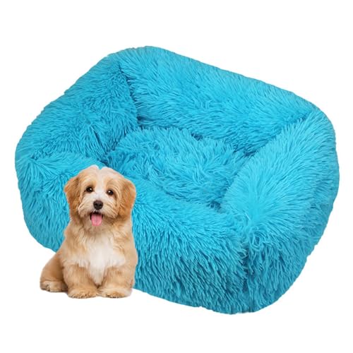 DOTBUY-SHOP Hundebet Rechteck Macaron Farbe Katzenbett, Hundekissen Grosse Hunde Kissen, Plüsch-Hundekorb Hundebett Waschbar, für Welpe, Katzen, Kätzchen, Haustiere (XS,Türkisblau) von DOTBUY-SHOP