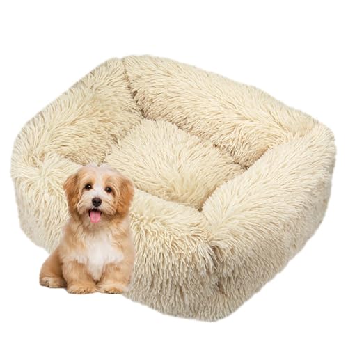 DOTBUY-SHOP Hundebet Rechteck Macaron Farbe Katzenbett, Hundekissen Grosse Hunde Kissen, Plüsch-Hundekorb Hundebett Waschbar, für Welpe, Katzen, Kätzchen, Haustiere (XXL,Beige) von DOTBUY-SHOP