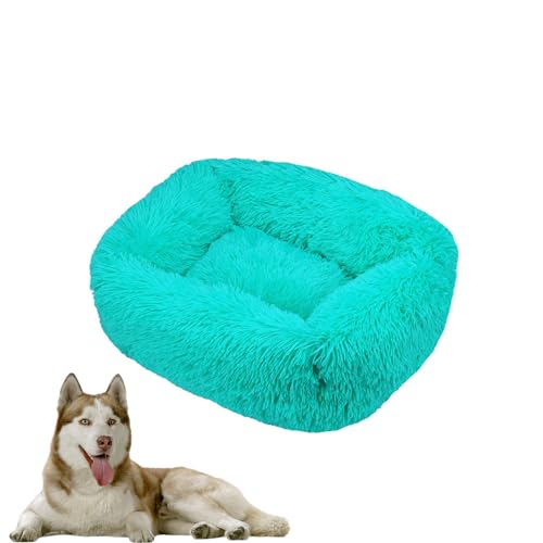 DOTBUY-SHOP Hundebet Rechtwinklig Katzenbett, Hundekissen Grosse Hunde Donut Kissen Herbst und Winter, Waschbar Plüsch-Hundekorb Hundebett, für Mittel Hunde Katzen (2XL,Türkisblau) von DOTBUY-SHOP