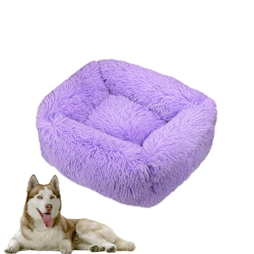 DOTBUY-SHOP Hundebet Rechtwinklig Katzenbett, Hundekissen Grosse Hunde Donut Kissen Herbst und Winter, Waschbar Plüsch-Hundekorb Hundebett, für Mittel Hunde Katzen (XL,Violett) von DOTBUY-SHOP