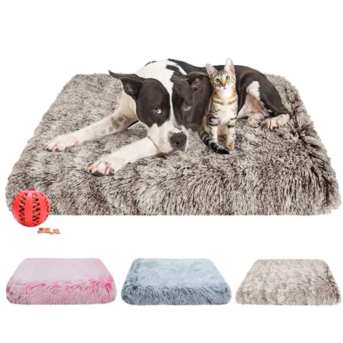 DOTBUY-SHOP Hundebet Rechtwinklig Katzenbett, Hundekissen Grosse Hunde Donut Kissen Herbst und Winter, Waschbares und Abnehmbares Plüsch-Hundekorb Hundebett mit Reißverschluss (M,Curry) von DOTBUY-SHOP