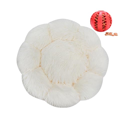 DOTBUY-SHOP Hundebet Rundes Katzenbett, Hundekissen Grosse Hunde Donut Kissen Herbst und Winter, Blütenblätter Plüsch-Hundekorb Hundebett, für Mittel Hunde Katzen (100 cm,Weiß) von DOTBUY-SHOP