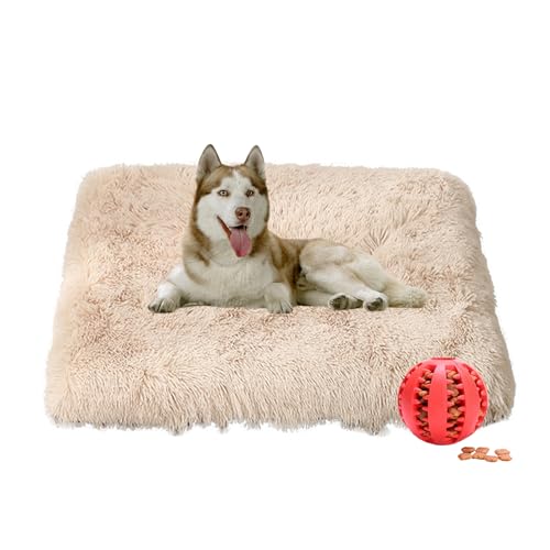 DOTBUY-SHOP Hundebet Rundes Katzenbett, Hundekissen Grosse Hunde Rechteckig Kissen, Plüsch-Hundekorb Hundebett Waschbar, für Groß Hunde, Katzen und Herbst und Winter (120X75cm,Beige) von DOTBUY-SHOP