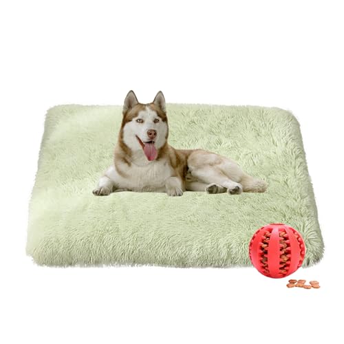 DOTBUY-SHOP Hundebet Rundes Katzenbett, Hundekissen Grosse Hunde Rechteckig Kissen, Plüsch-Hundekorb Hundebett Waschbar, für Groß Hunde, Katzen und Herbst und Winter (120X75cm,Hellgrün) von DOTBUY-SHOP