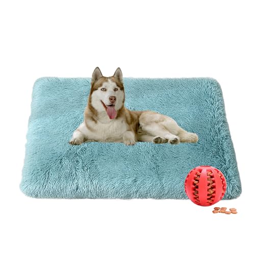 DOTBUY-SHOP Hundebet Rundes Katzenbett, Hundekissen Grosse Hunde Rechteckig Kissen, Plüsch-Hundekorb Hundebett Waschbar, für Groß Hunde, Katzen und Herbst und Winter (120X75cm,Himmelblau) von DOTBUY-SHOP