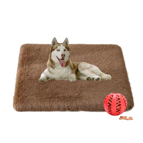 DOTBUY-SHOP Hundebet Rundes Katzenbett, Hundekissen Grosse Hunde Rechteckig Kissen, Plüsch-Hundekorb Hundebett Waschbar, für Groß Hunde, Katzen und Herbst und Winter (90X70cm,Kaffee) von DOTBUY-SHOP