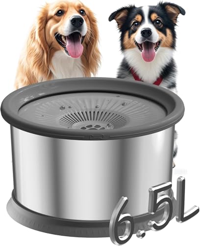 6,5L Hundenapf Grosse Hunde,Wassernapf Hund Ohne Sabbern, Trinknapf Hund, Wassernapf für Mittelgroße/Große Hunde (grau, 6.5L) 6,5L Hundenapf Grosse Hunde,Wassernapf Hund Ohne Sabbern, Trinknapf Hund, Wassernapf für Mittelgroße/Große Hunde (grau, 6.5L) von DOTWAYAW