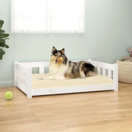 Hundebett, rechteckiges Hundesofa für Haustiere, erhöhtes Hundebett, Wohnzimmer, Innenbereich, weiß, 95,5 x 65,5 x 28 cm, stabiles Kiefernholz Hundebett, rechteckiges Hundesofa für Haustiere, erhöhtes Hundebett, Wohnzimmer, Innenbereich, weiß, 95,5 x 65,5 x 28 cm, stabiles Kiefernholz von DOUSMHII