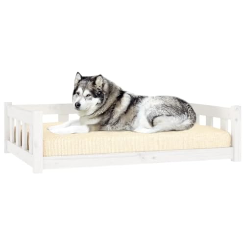 Hundebett, rechteckiges Hundesofa für Haustiere, erhöhtes Hundebett für Wohnzimmer, Innenbereich, weiß, 105,5 x 75,5 x 28 cm, stabiles Kiefernholz Hundebett, rechteckiges Hundesofa für Haustiere, erhöhtes Hundebett für Wohnzimmer, Innenbereich, weiß, 105,5 x 75,5 x 28 cm, stabiles Kiefernholz von DOUSMHII