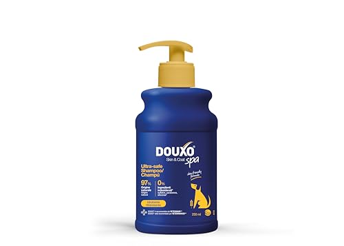 DOUXO® Skin & Coat SPA Hafer-Shampoo für Hunde, Ultra-Safe, 250 ml, Reinigt und spendet tiefenwirksame Feuchtigkeit, stärkt das Fell, hinterlässt weiches und glänzendes Fell. Sanfte Formel zur Haut. von DOUXO